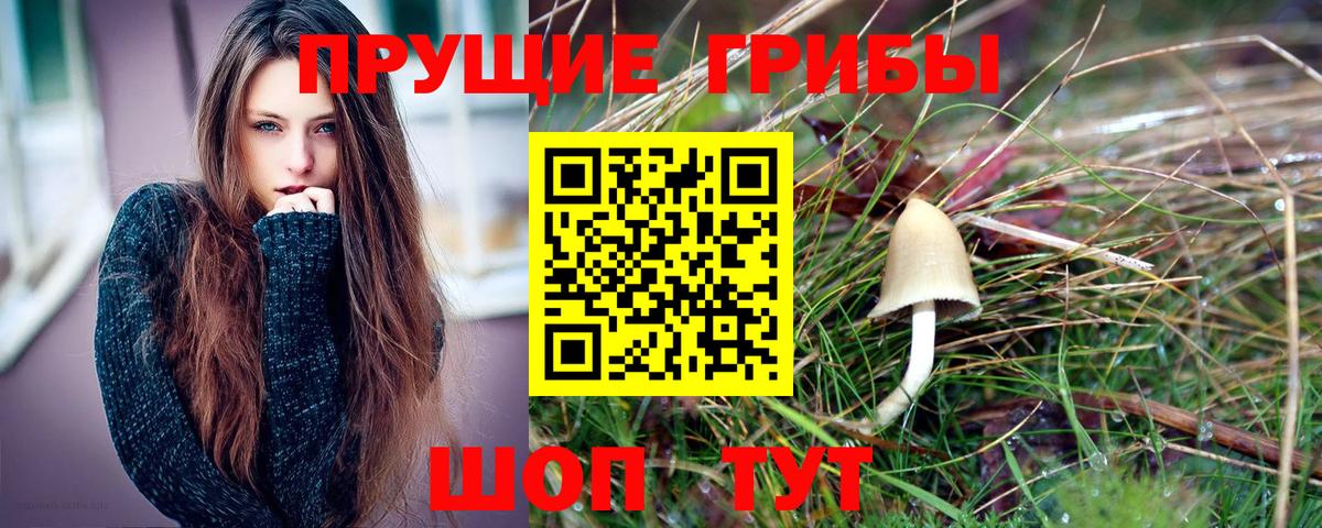 Псилоцибиновые грибы прущие грибы Элиста