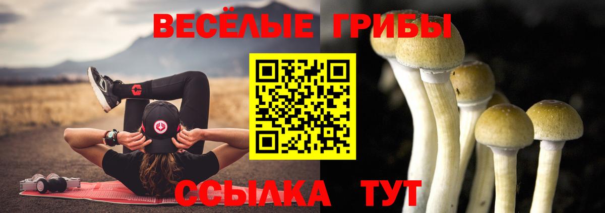продажа наркотиков  Псилоцибиновые грибы мицелий  Вход с VPN  Элиста  Псилоцибиновые грибы прущие грибы 